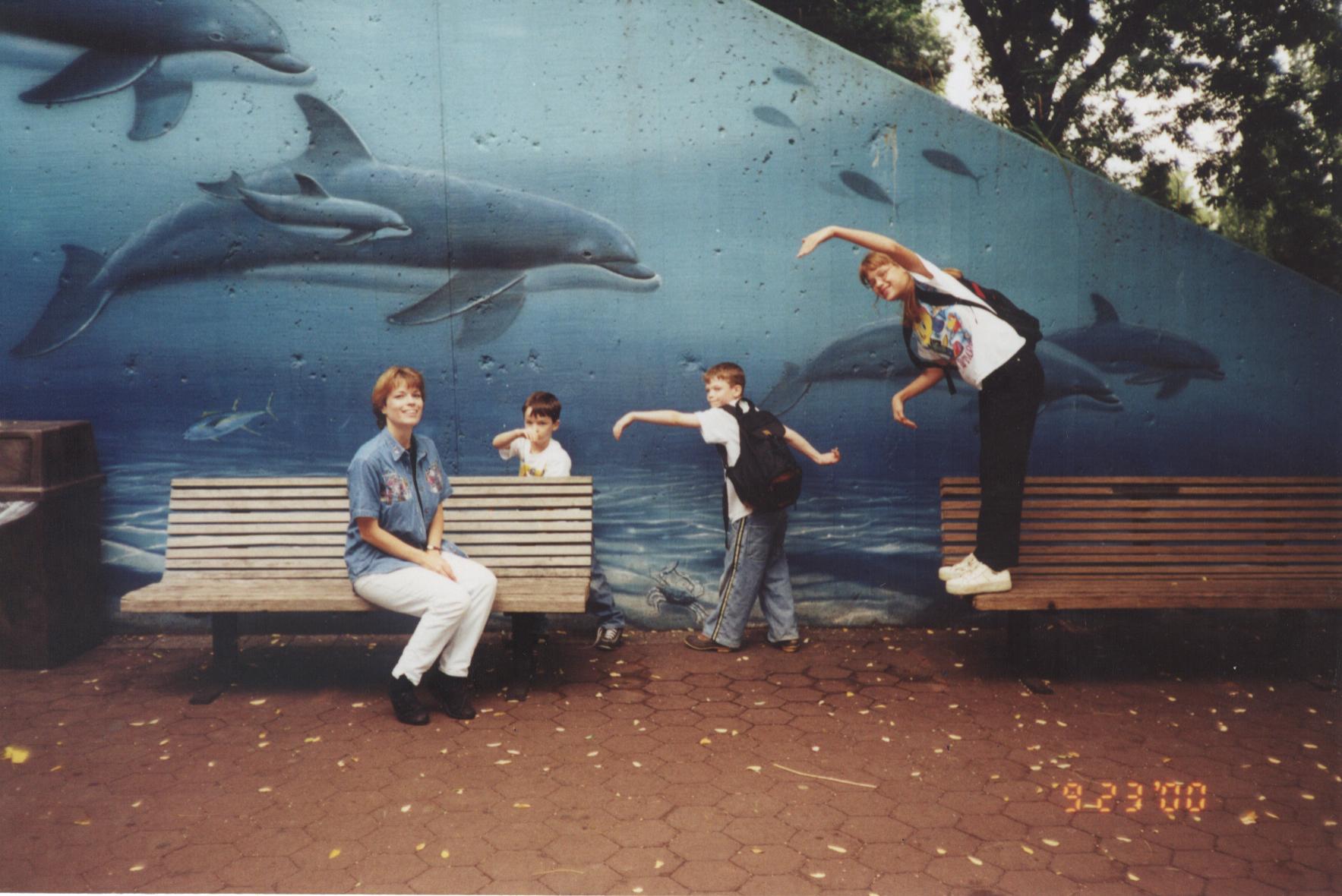 The zoo, 2000